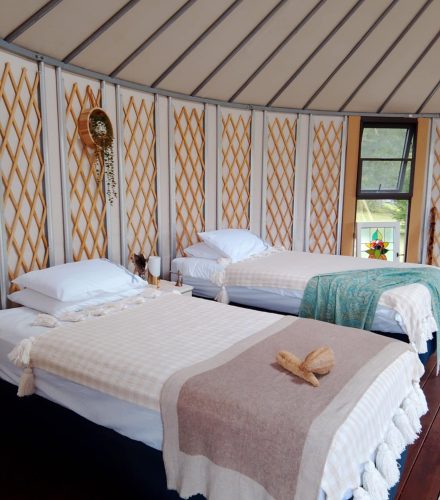 e98a923a-1fb8-4cd6-b2a2-11fdbb03c272